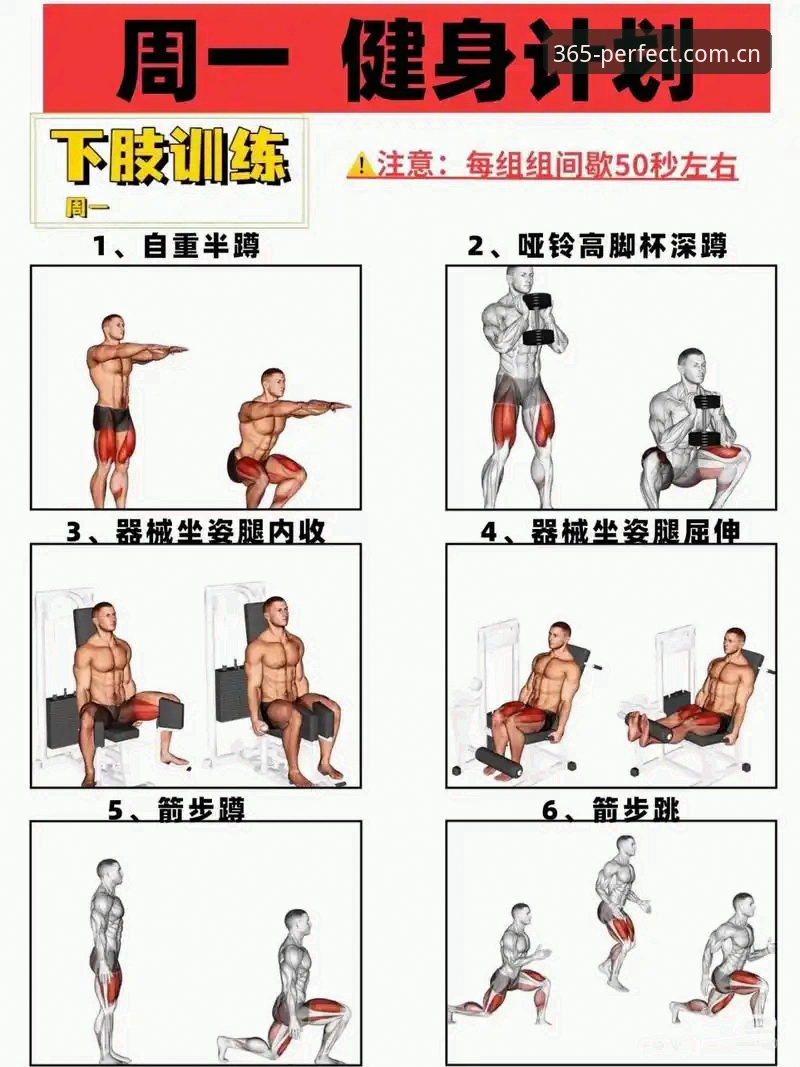 完美体育365新手教程实用指南：快速上手必备知识
