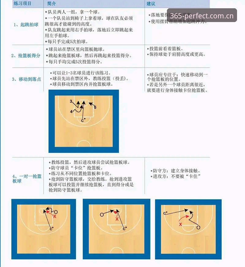 完美体育365新手教程实用指南：快速上手必备知识