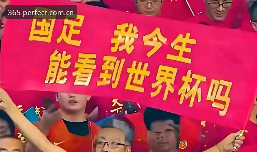 2030年世界杯扩军至66队操作教程：中国男足重返舞台的可行性分析