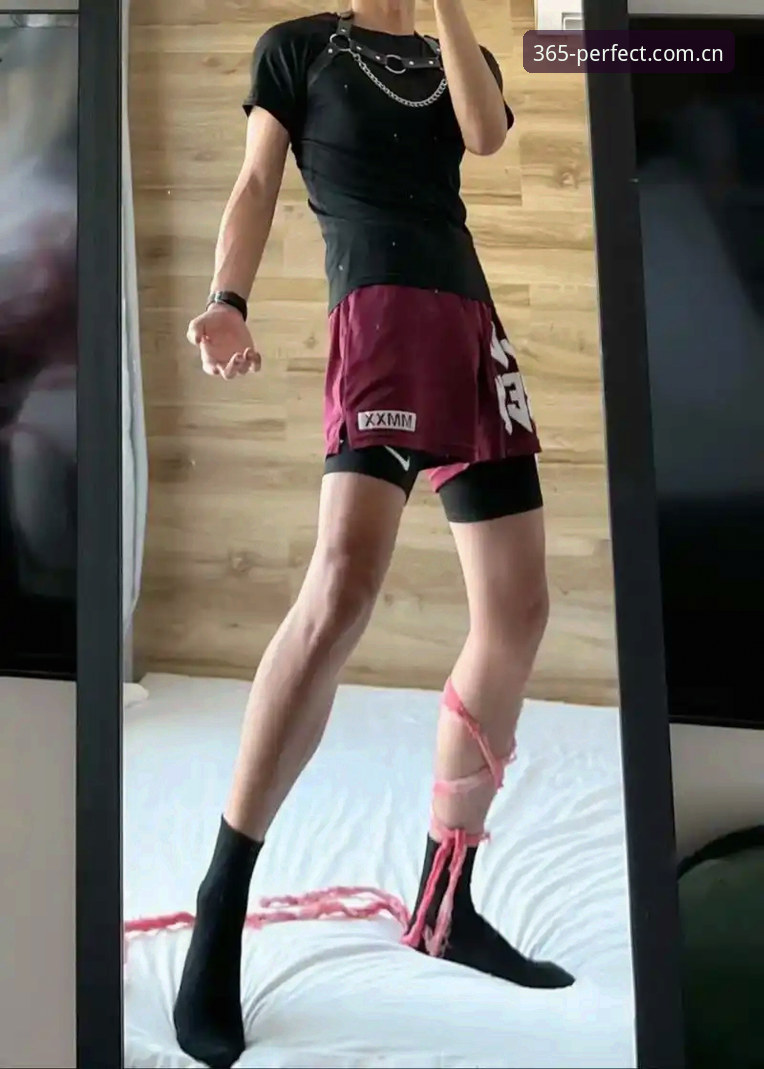 完美体育365平台 vs 传统体育APP：手机版体验全面对比，哪个更适合新手？
